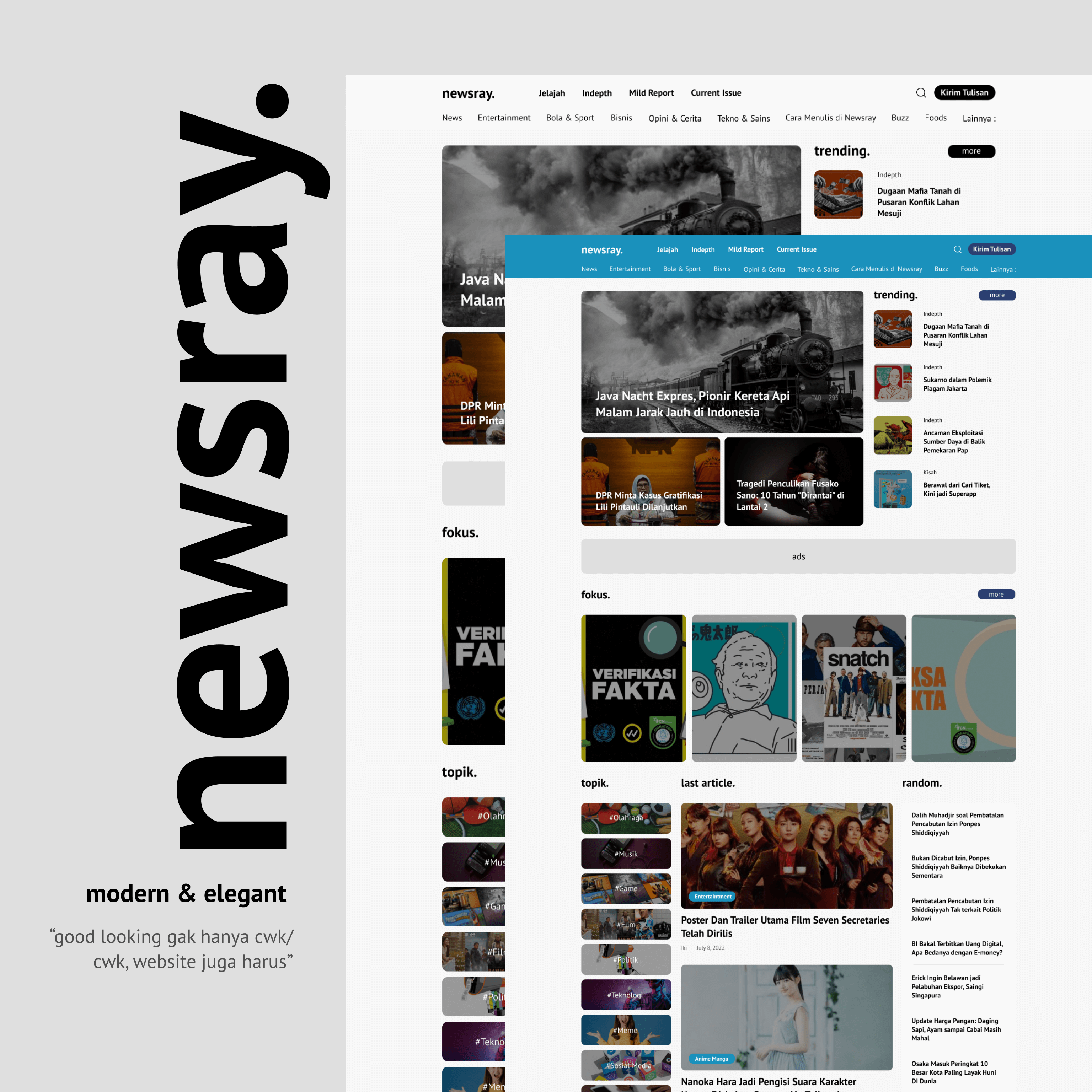 newsray wordpress theme